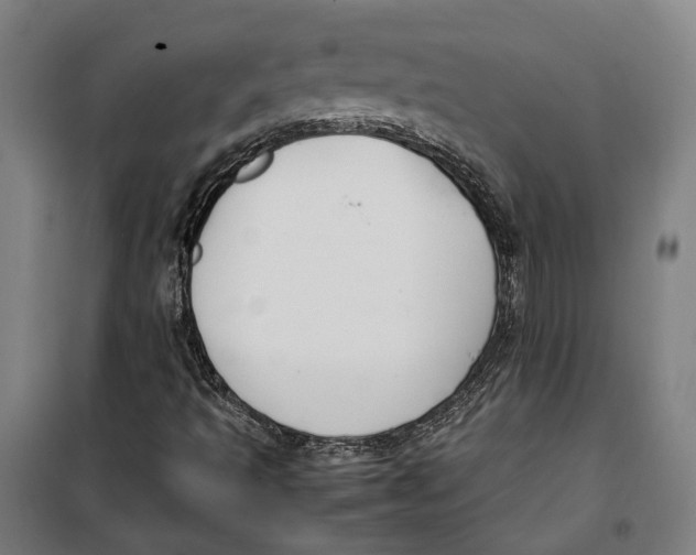 X0000099551493200806061505