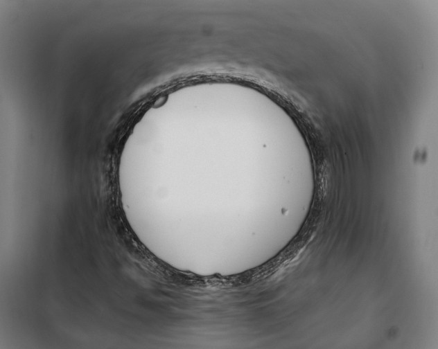 X0000099551494200806061505