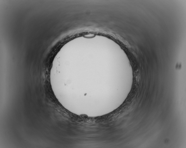 X0000099551495200806061505