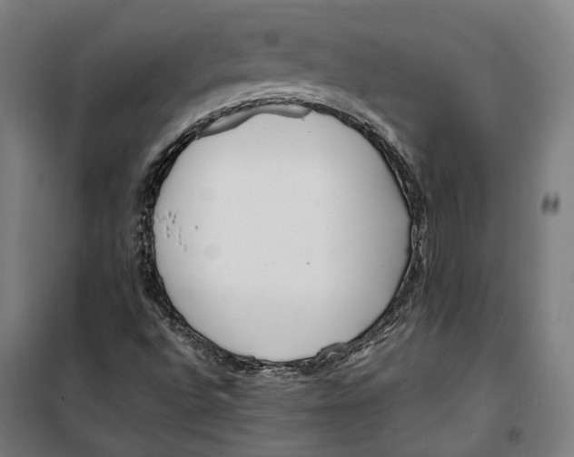 X0000099551496200806061505