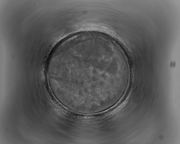 X0000099551497200806061505