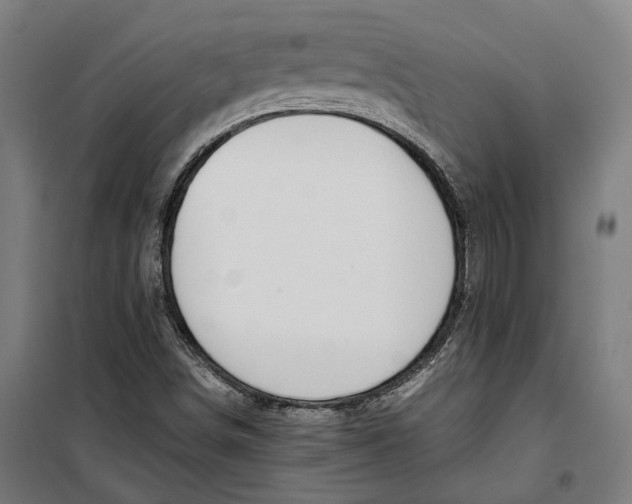 X0000099551498200806061505