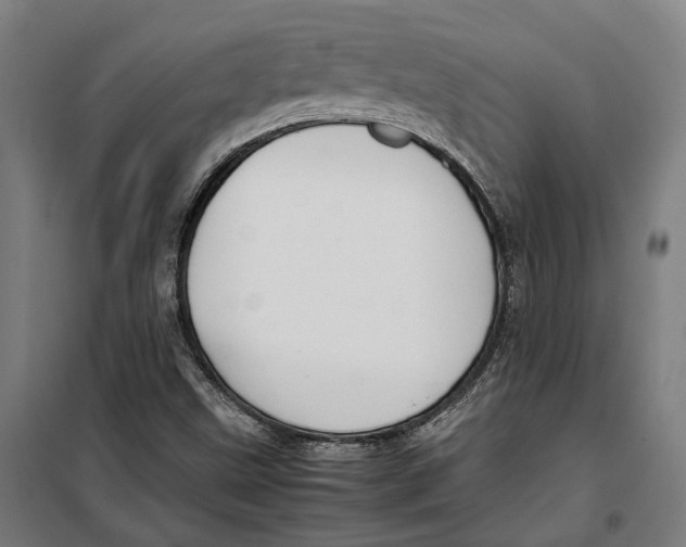 X0000099551499200806061505