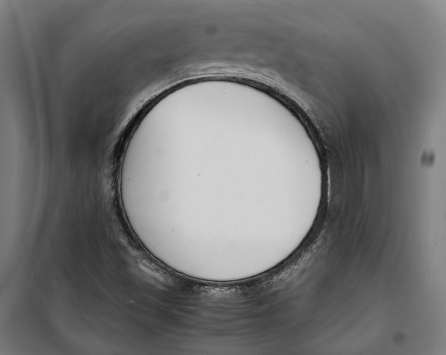 X0000099551501200806061505