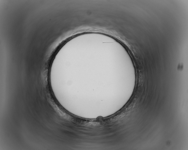 X0000099551503200806061505