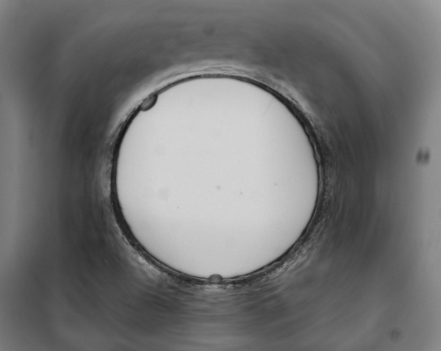 X0000099551504200806061505