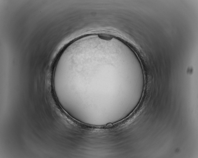 X0000099551506200806061505