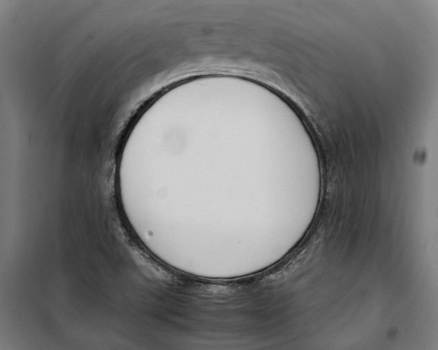 X0000099551507200806061505