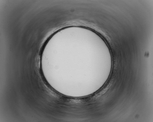 X0000099551509200806061505