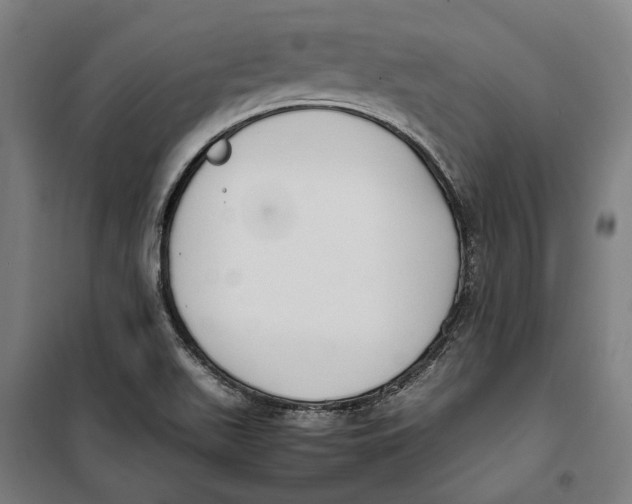 X0000099551511200806061505