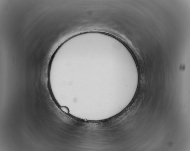 X0000099551512200806061505