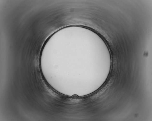 X0000099551513200806061505