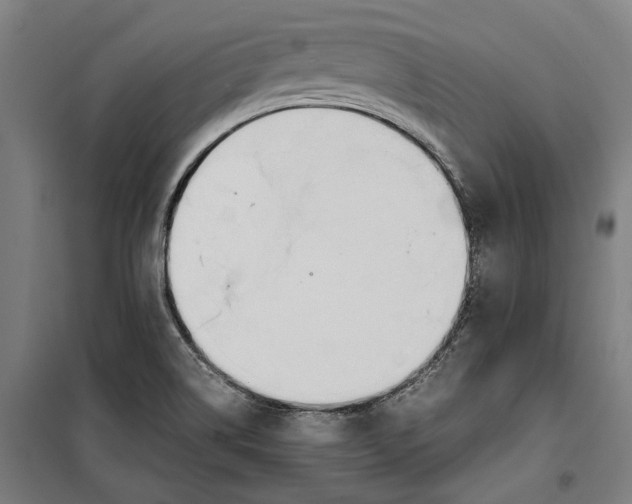 X0000099551514200806061505