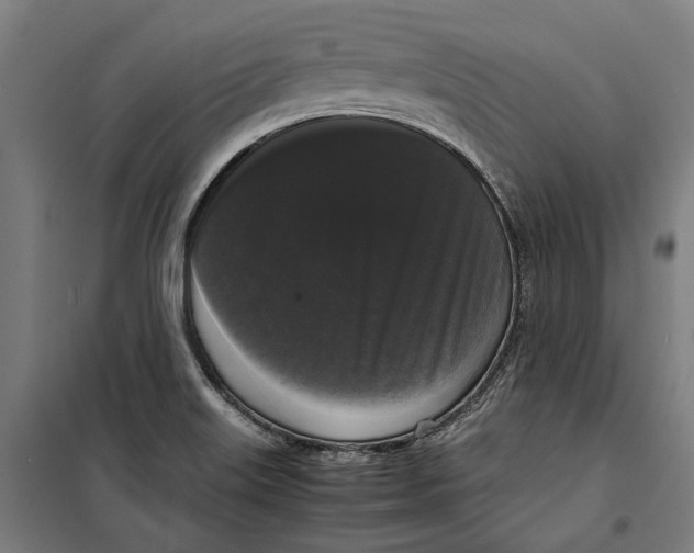 X0000099551515200806061505