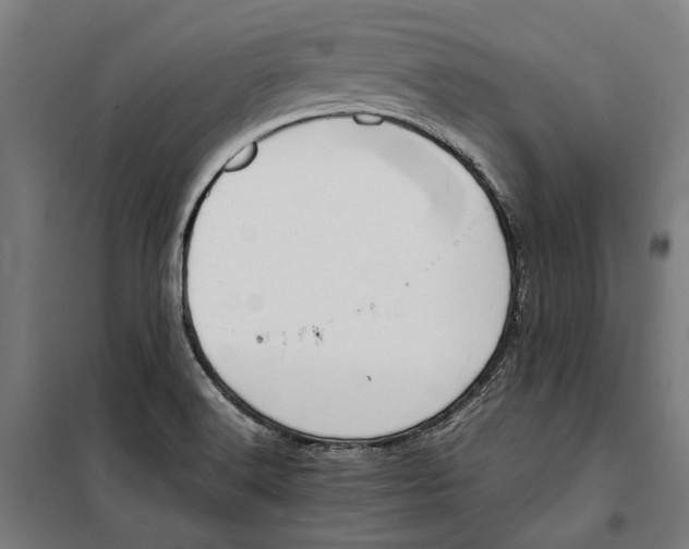 X0000099551516200806061505