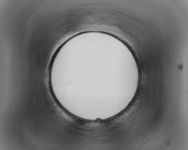 X0000099551517200806061505