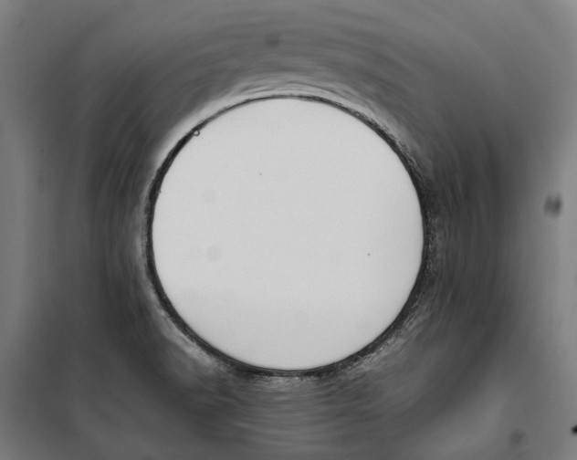 X0000099551518200806061505