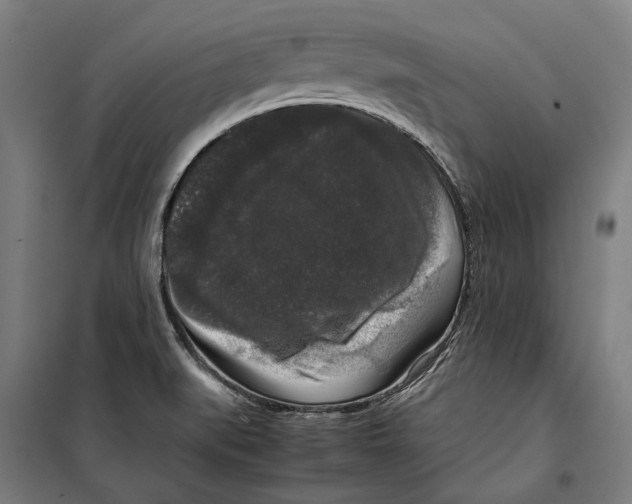 X0000099551519200806061505