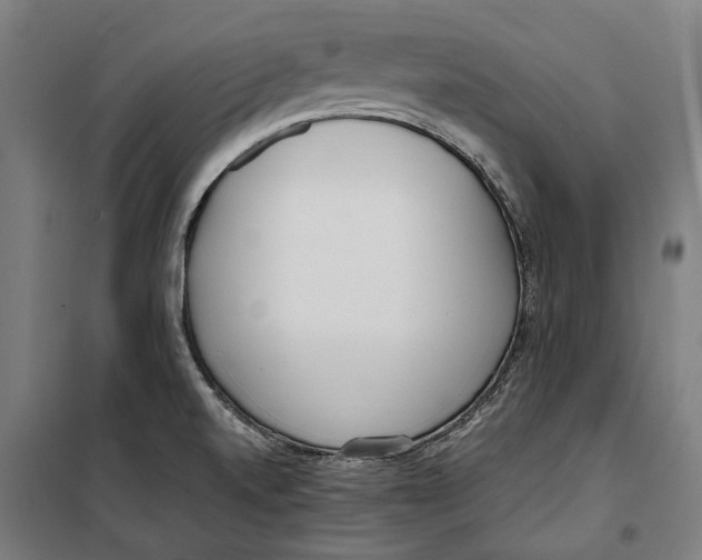 X0000099551520200806061505