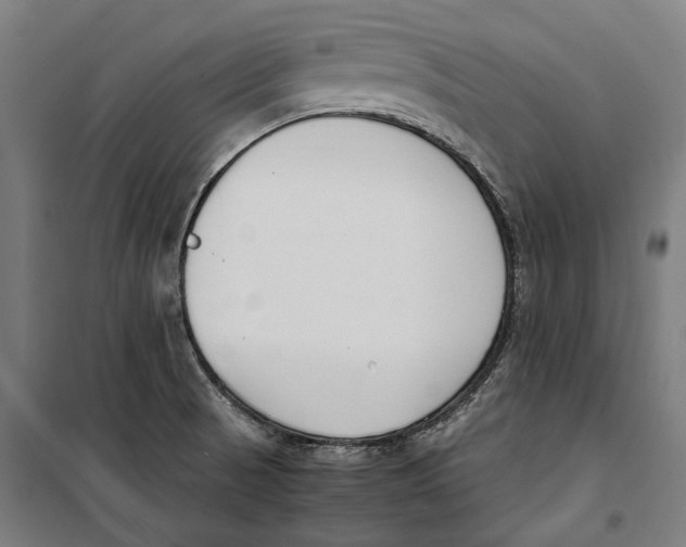 X0000099551521200806061505