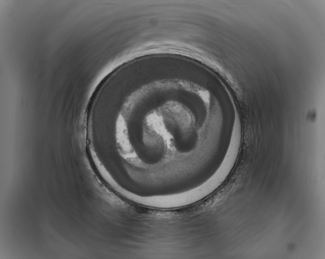 X0000099551522200806061505