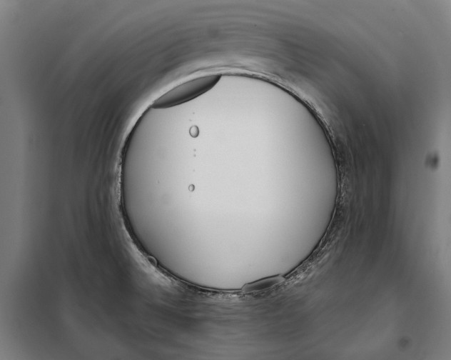 X0000099551524200806061505