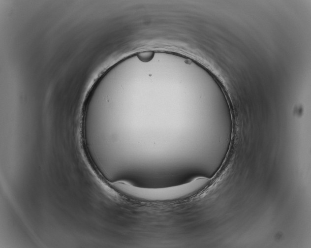 X0000099551525200806061505