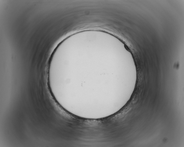 X0000099551526200806061505