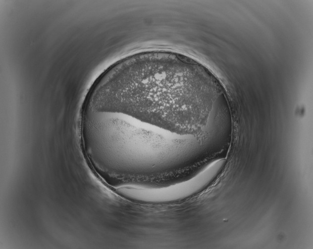 X0000099551527200806061505