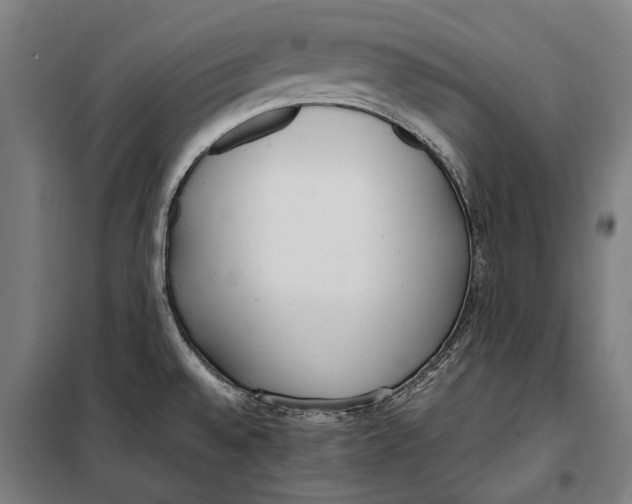 X0000099551528200806061505