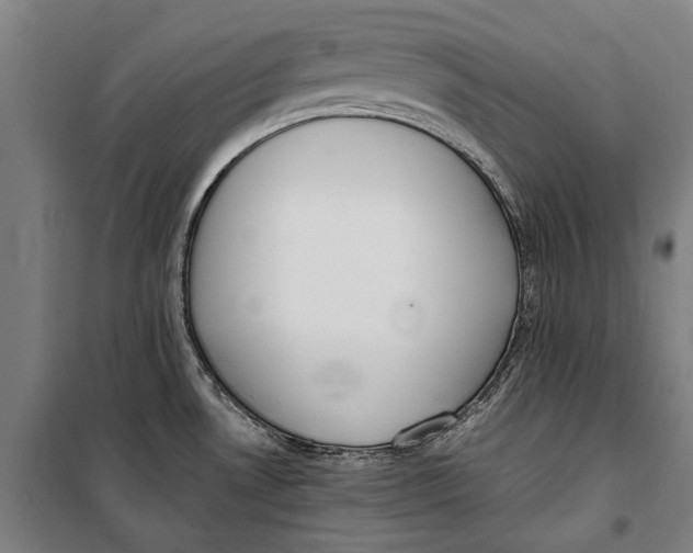 X0000099551530200806061505