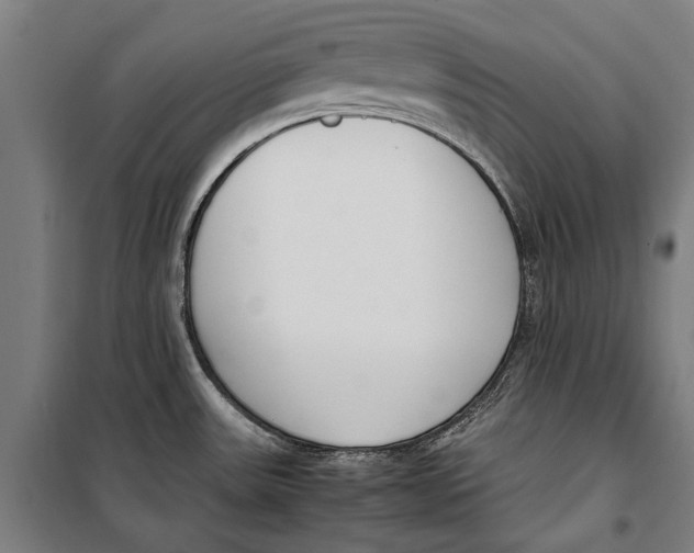 X0000099551531200806061505