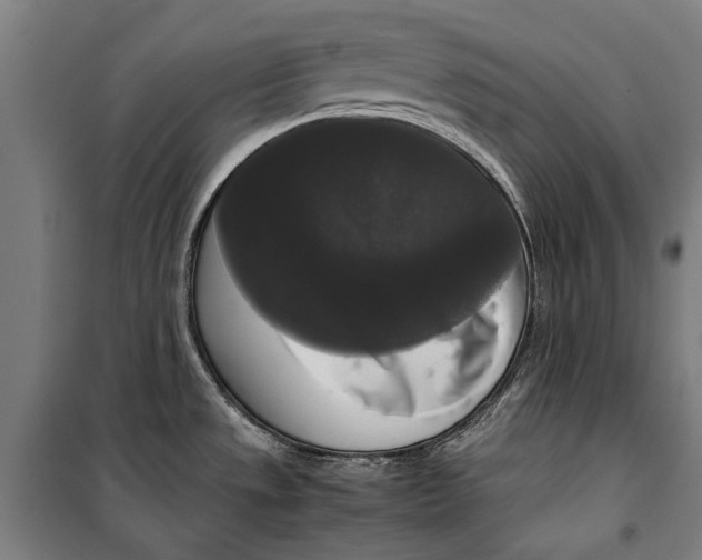 X0000099551533200806061505