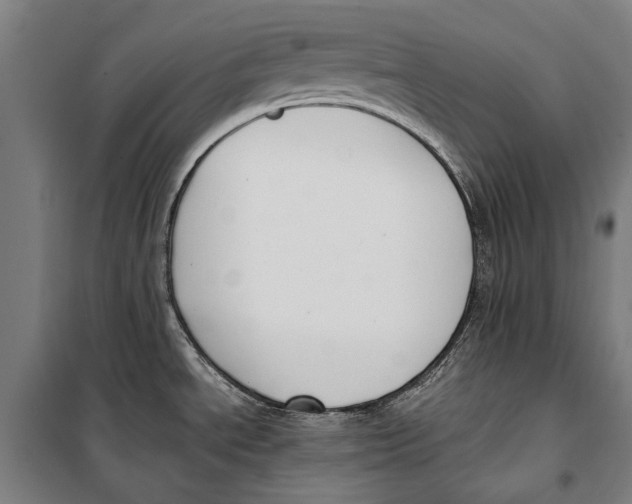 X0000099551534200806061505