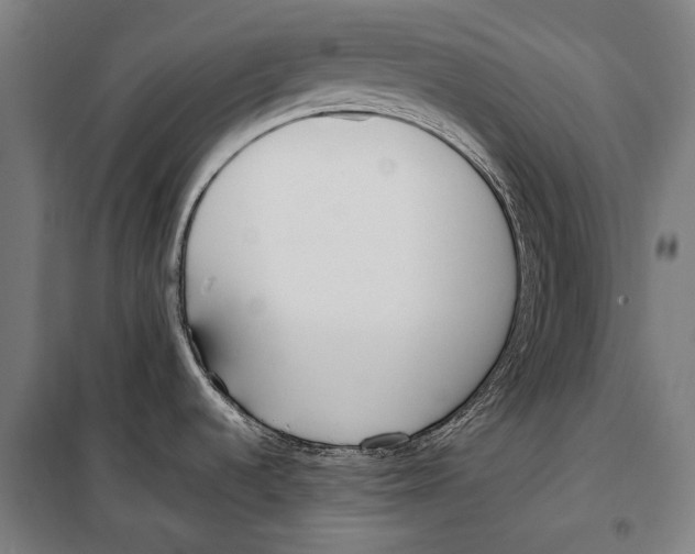 X0000099551536200806061505