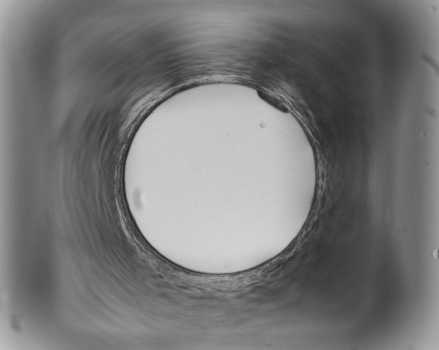 X0000099550001200806131222