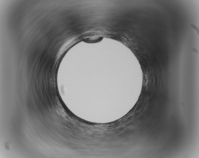 X0000099550004200806131222