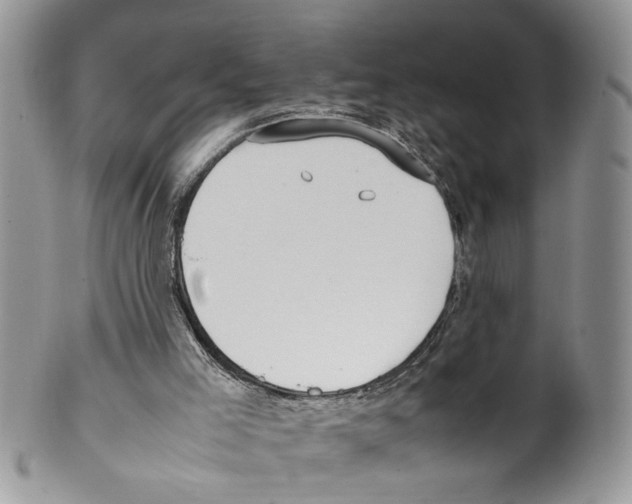 X0000099550005200806131222