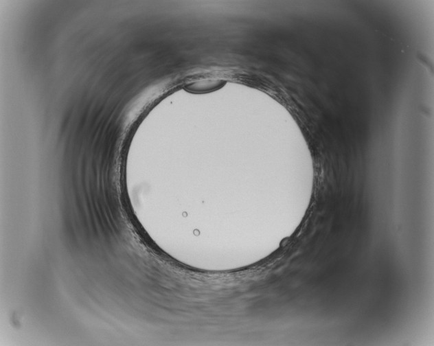 X0000099550006200806131222