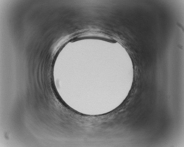 X0000099550007200806131222