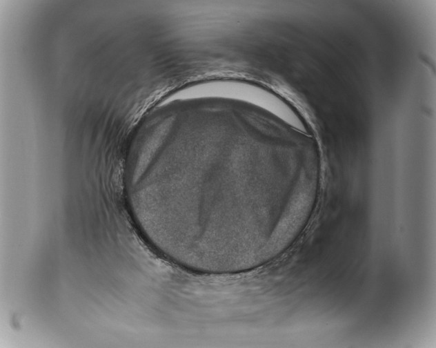 X0000099550009200806131222