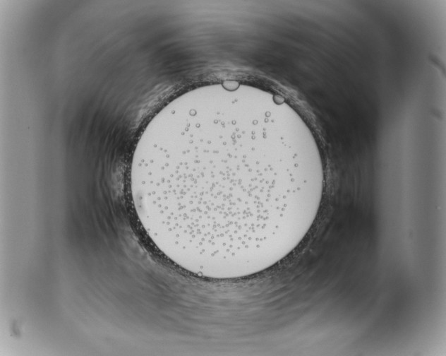 X0000099550010200806131222