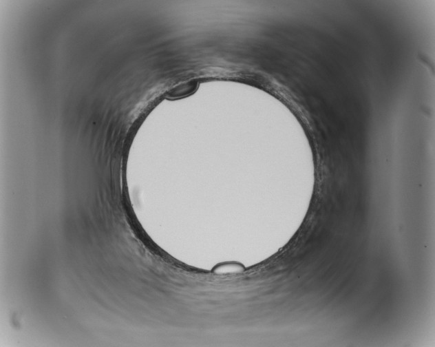 X0000099550011200806131222