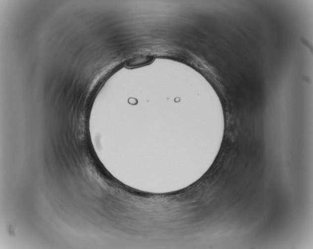 X0000099550012200806131222