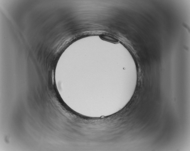 X0000099550013200806131222