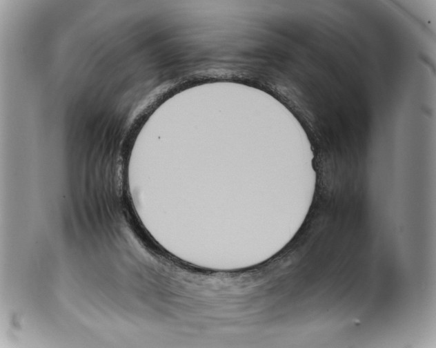 X0000099550016200806131222