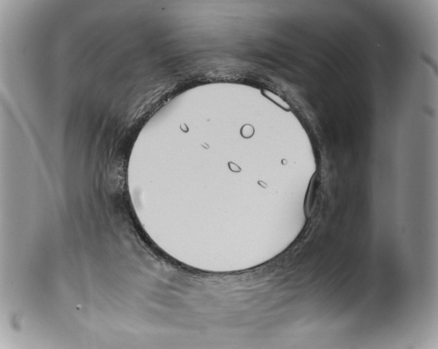 X0000099550017200806131222