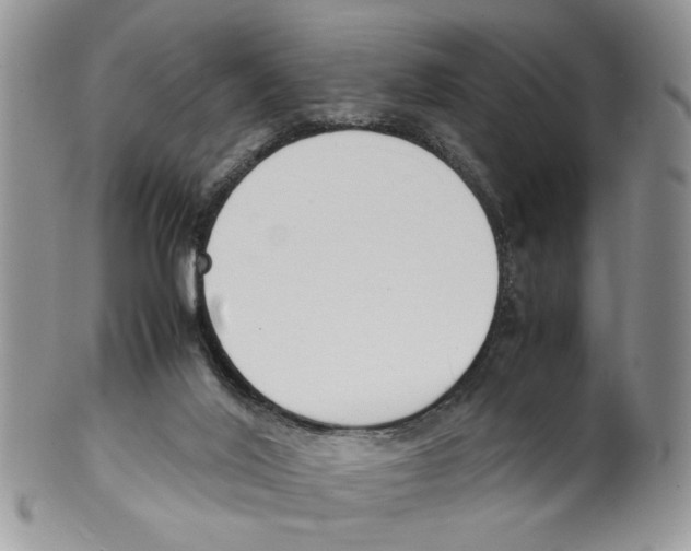 X0000099550020200806131222