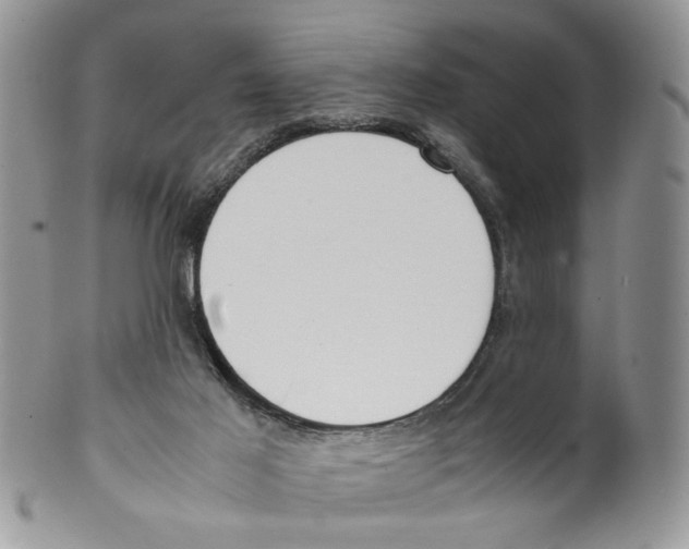 X0000099550021200806131222