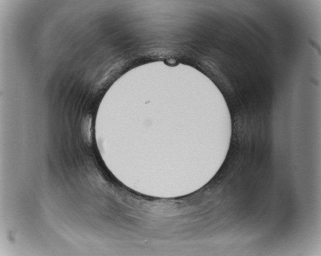 X0000099550024200806131222